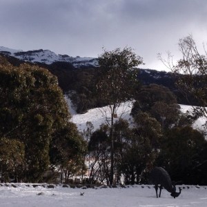 Taken from Thredbo Village, July 19th 2014