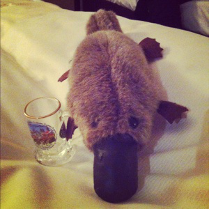 Percy got his own mini-stein