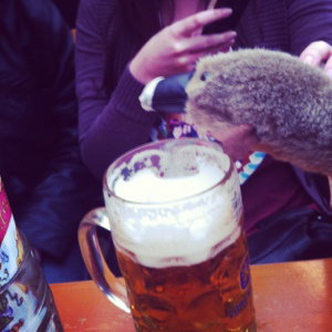 After a few steins he lost the hat...